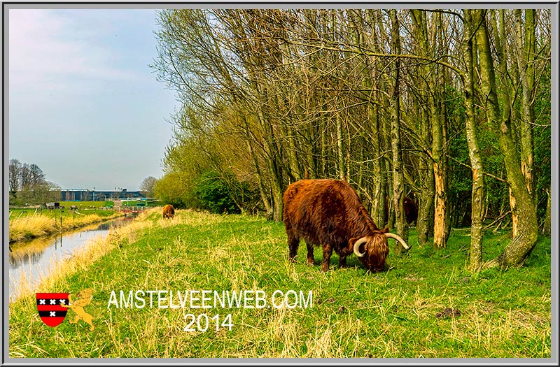 Foto Amstelveen