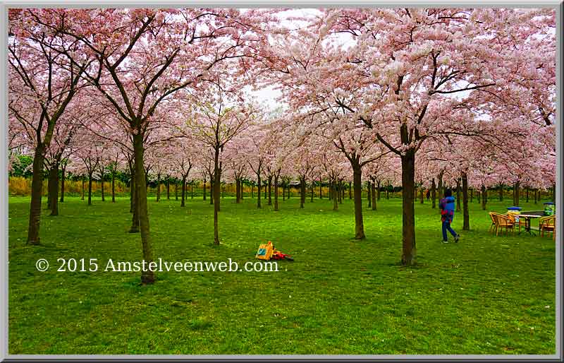 Foto Amstelveen