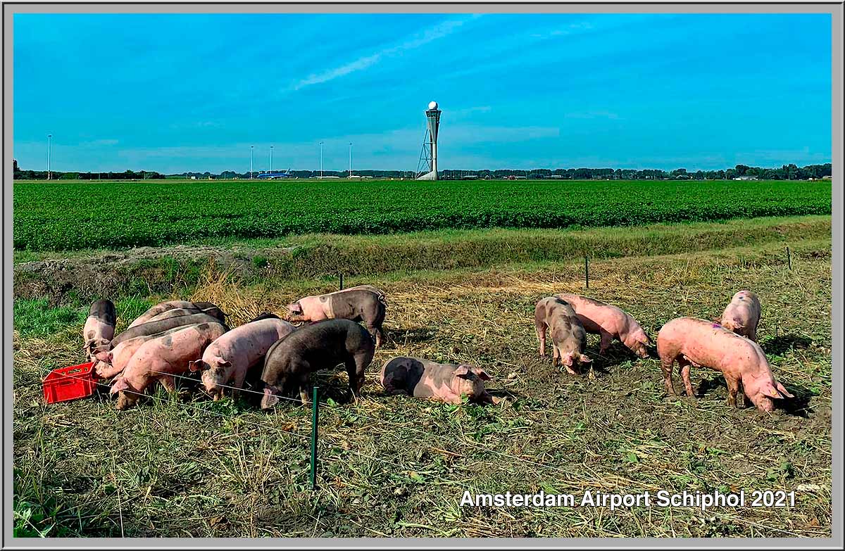 Foto Amstelveen