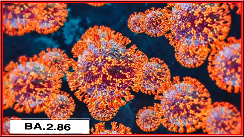 Negli Stati Uniti è stata scoperta una nuova variante del virus BA.286